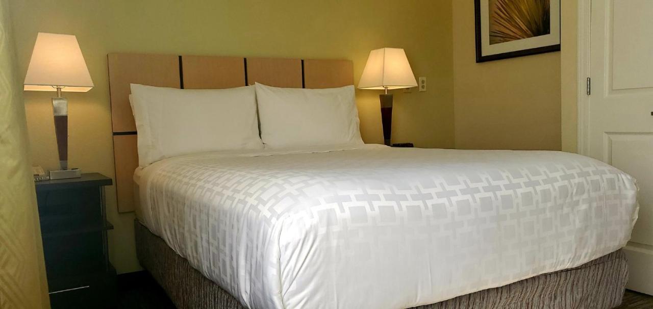 Candlewood Suites Houston Medical Center By Ihg Buitenkant foto