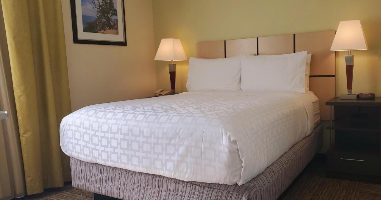 Candlewood Suites Houston Medical Center By Ihg Buitenkant foto